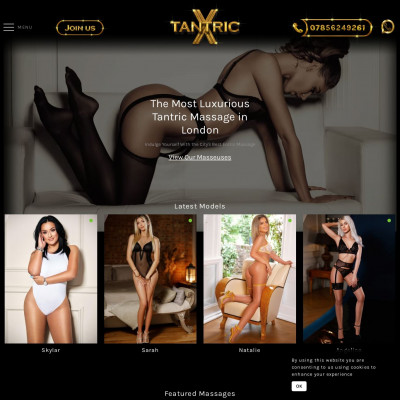 Tantric X Screenshot of Tantric X