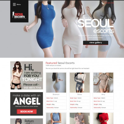 Seoul Escorts Agency Screenshot of Seoul Escorts Agency