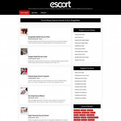 Türkiye Escort Bayan A.Ş Screenshot of Türkiye Escort Bayan A.Ş