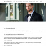 THE MALE COMPANION THE MALE COMPANION
