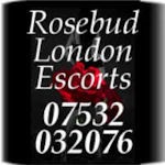 Rosebud Escorts London Rosebud Escorts London
