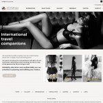 International Travel Companions